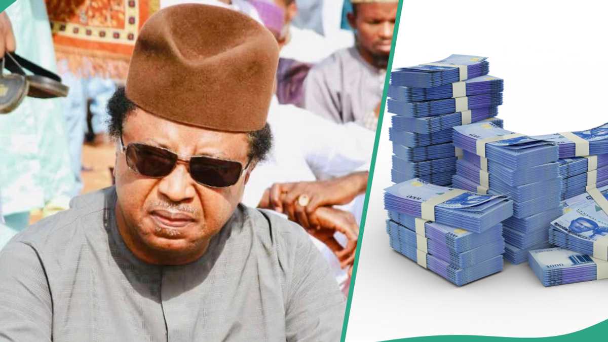 What Shehu Sani said after Governor Makinde countered Tinubu’s claim on N570 billion support fund to states