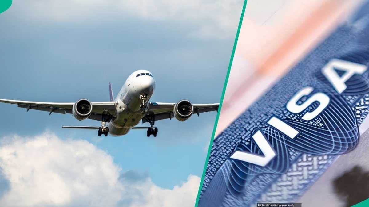 Find out more as UK announces visa fee changes for Nigerians from April 8