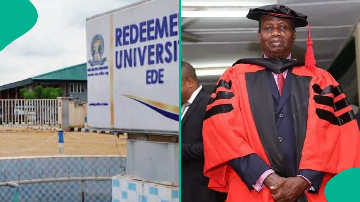 2025 school fees breakdown: Redeemer’s University highlights most expensive and cheapest courses
