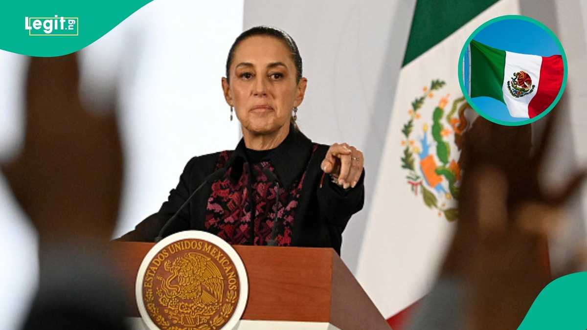 Mexico names the number of years foreigners must legally reside before becoming citizens