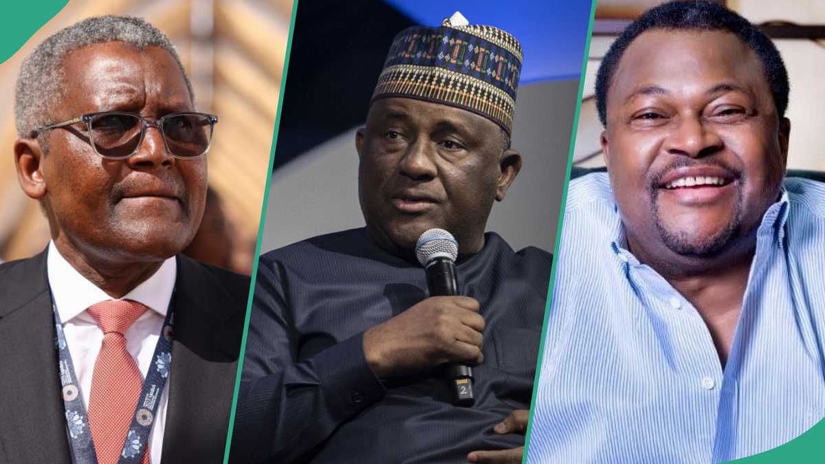 See latest ranking of Nigeria top billionaires in world list, as their wealth grows