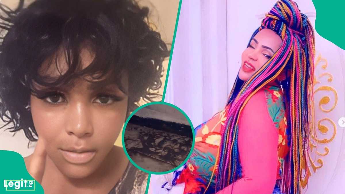 Cossy Orjiakor finds unusual creature in her room weeks after flooding