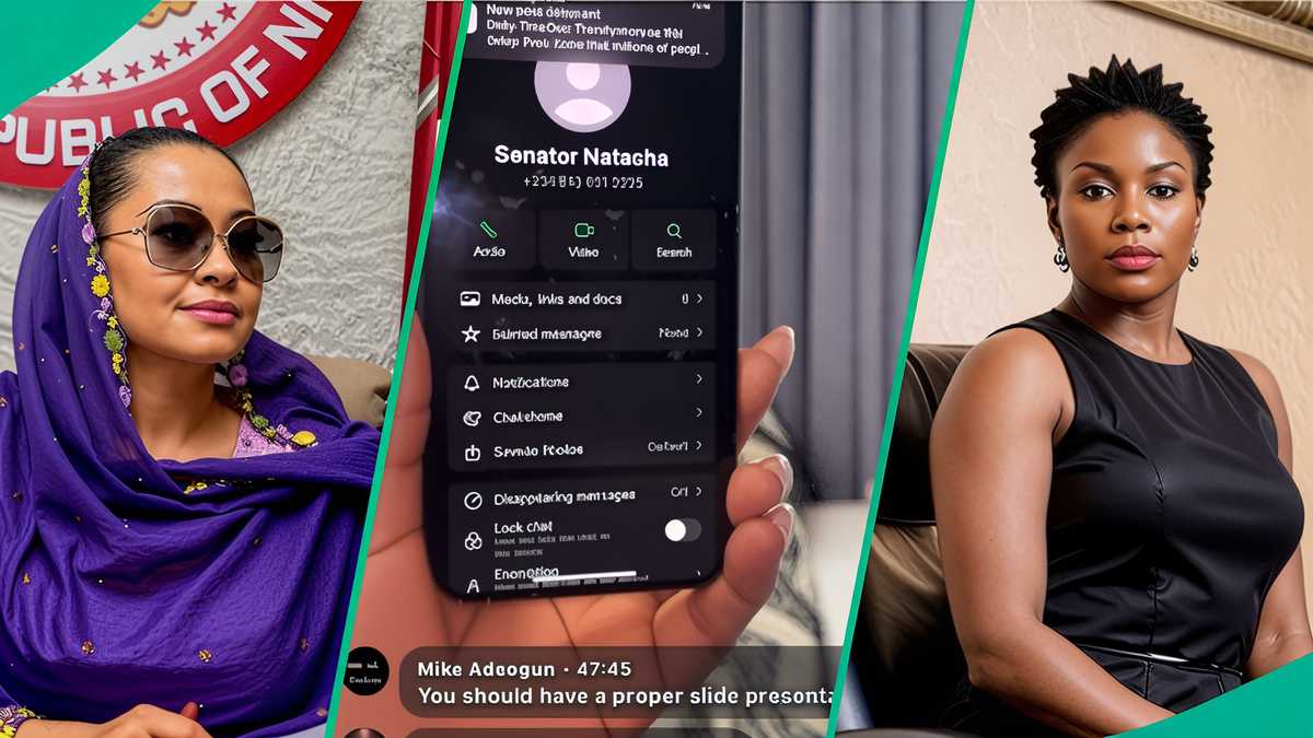 Senator Natasha: Bruised by hope, by Titilope Tawakkaltu Anifowoshe