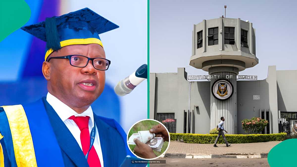 University of Ibadan reveals salaries of lecturers, professors