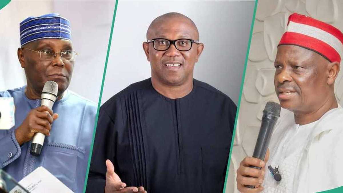 Peter Obi vs Atiku: Analyst tells Kwankwaso, El-Rufai, other ADC chieftains what to do ahead of 2027 election