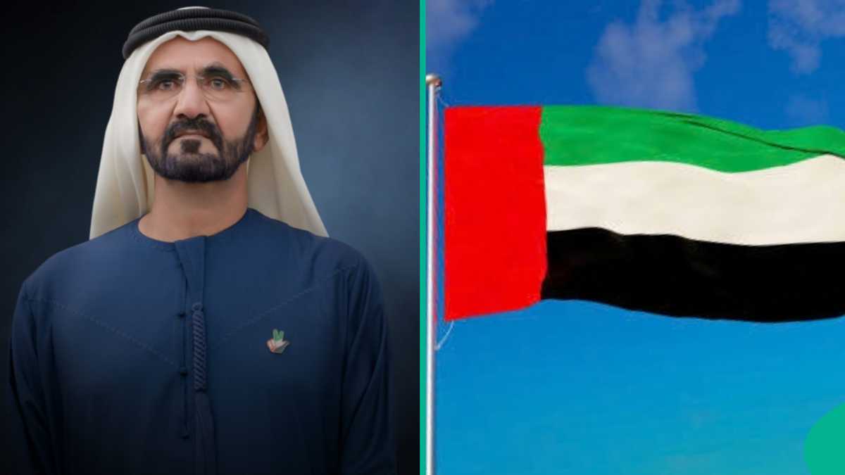 Over 1 million residence permits issued in Dubai, detailed report released