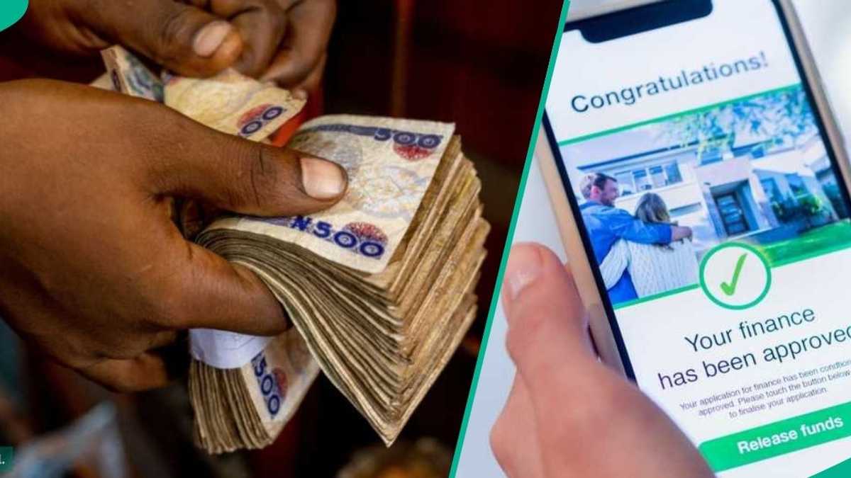 Find out how Nigerians spend business loans and impact