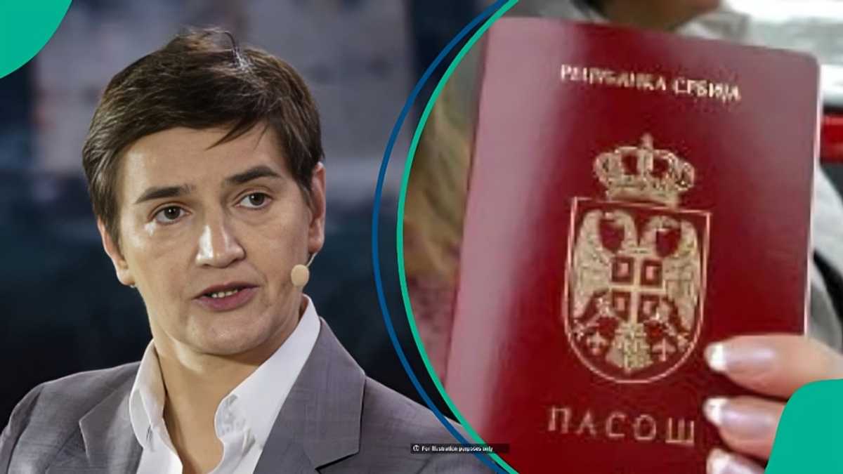 Full list: 4 ways foreigners can become Serbian citizens without giving up citizenship in some cases