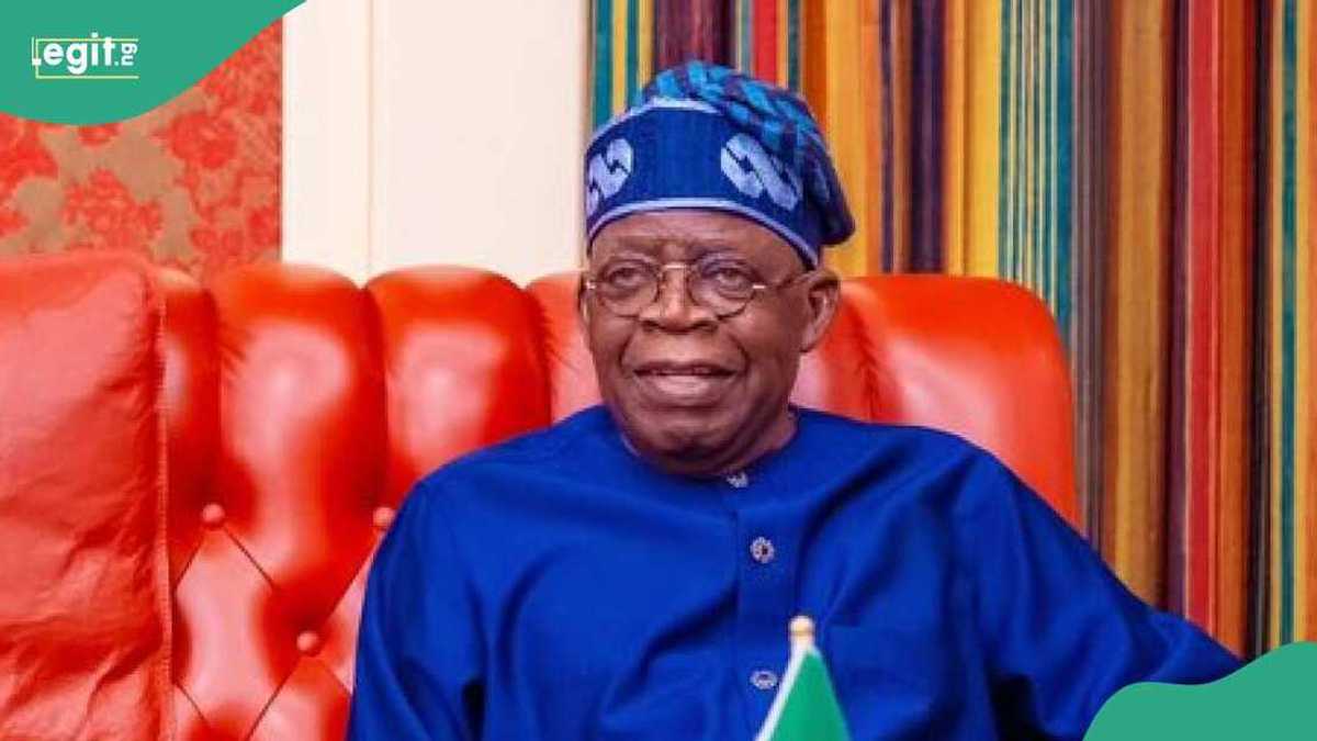 Tinubu Swears In Two New Ministers, Announces Their Portfolios - Legit.ng