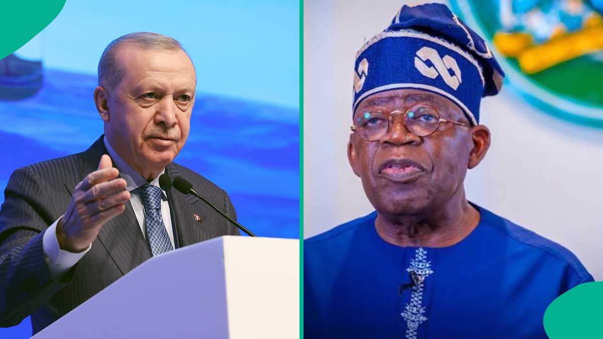 Turkey requests to be included in Nigeria’s e-visa system