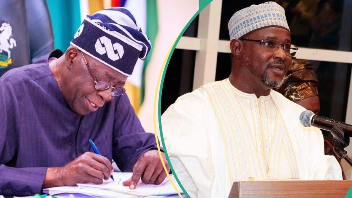Tinubu Makes 9 Fresh Appointments Into New Agency, Full List Emerge ...
