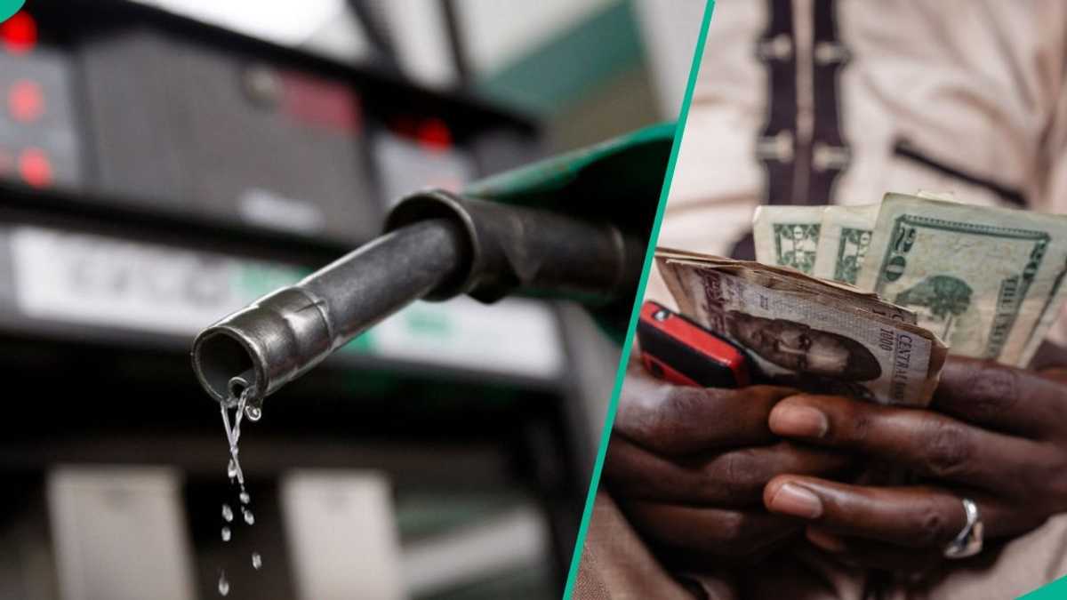 Oyedele warns returning to fuel subsidy could weaken naira toward ₦4,000 per dollar