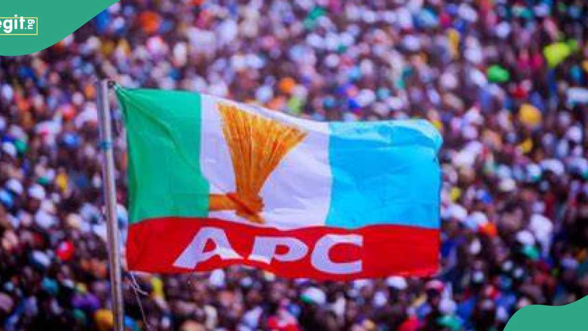 Has APC released official list of successful candidates after primaries? Party breaks silence
