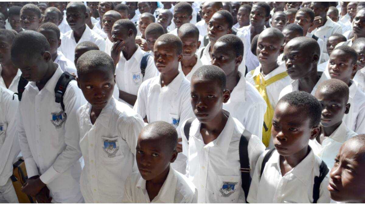Unity School Uniform Federal Government Increases Tuition Fees Of Unity Schools - Legit.ng