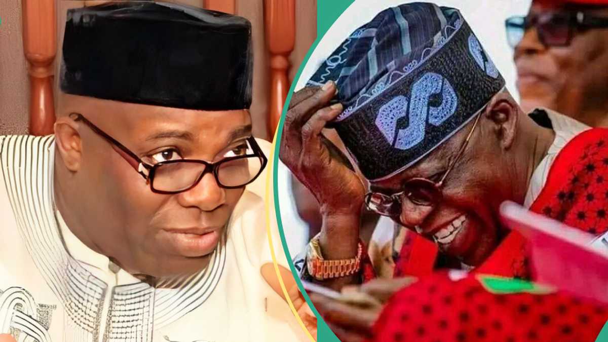 2027: Why power must not return to Tinubu, the north," Okupe gives shocking reasons