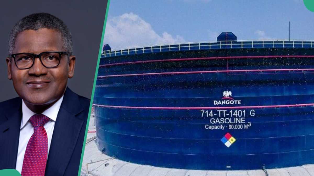 See how to buy Dangote Refinery IPO shares from September 14
