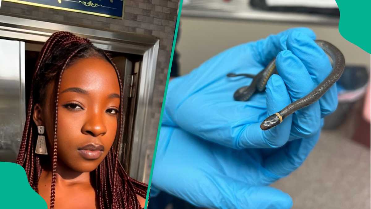 Tragic Death of Singer Ifunanya Nwangene from Snake Bite Sparks Safety Concerns in Abuja