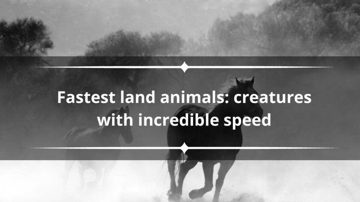 Top 10 fastest land animals: creatures with incredible speed - Legit.ng