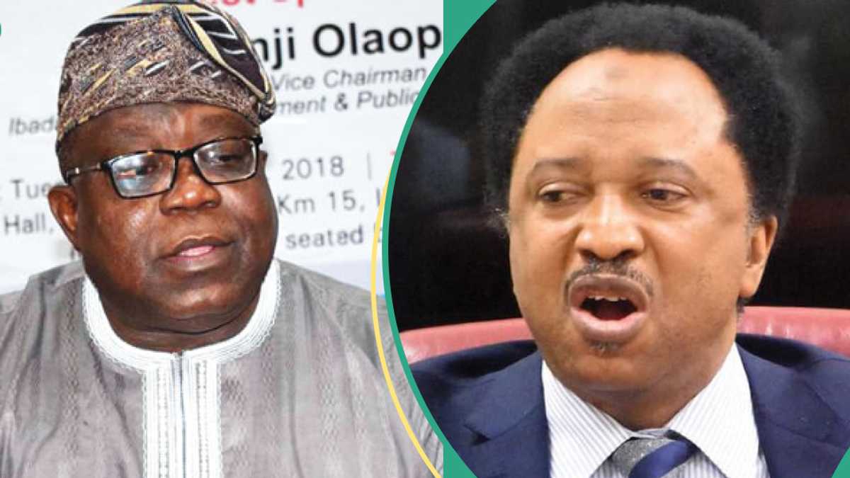 Mass sackings in Nigeria? Tinubu's govt responds to Shehu Sani’s alarming claim