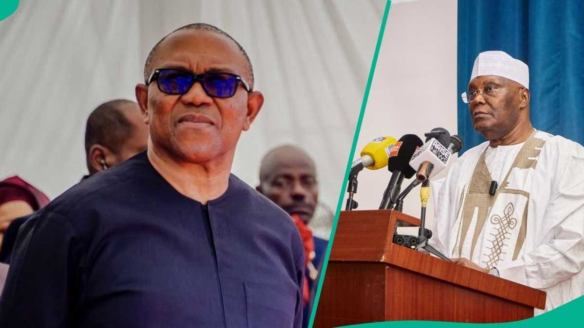 2027 Election: ADC Presidential Slot Battle Deepens as Northern ...