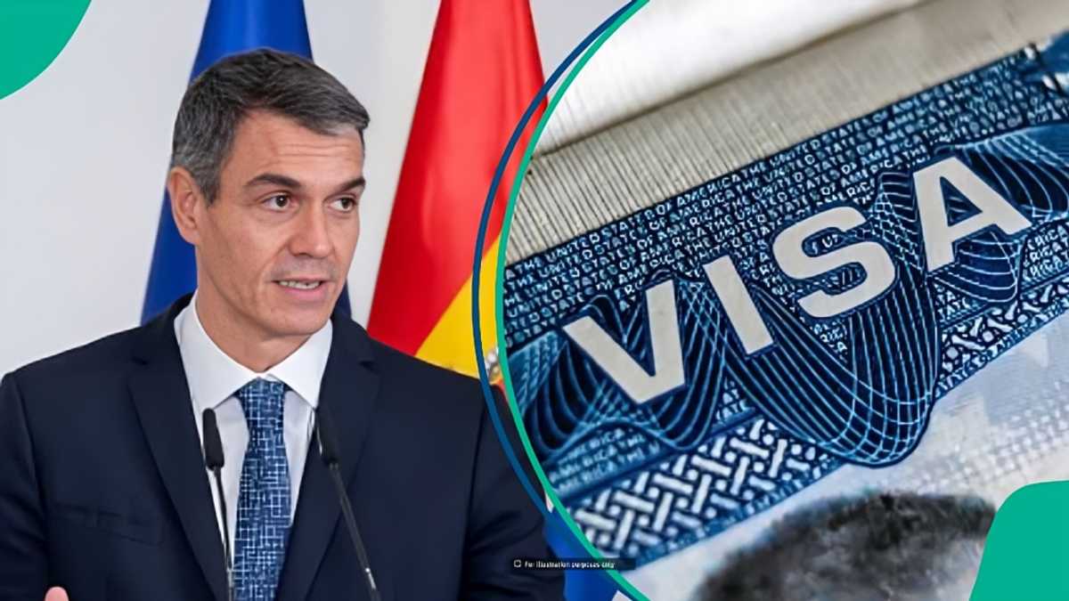 Spain announces family members foreigners can sponsor on family reunification visa
