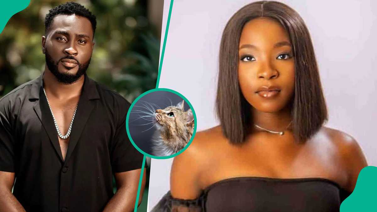 Nanyah: Pere Egbi explains why every Nigerian needs to own three cats after singer's death