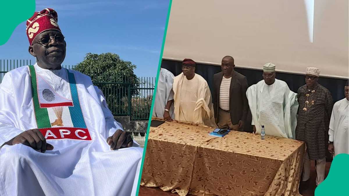 ADC Crisis: David Mark sends tough question to Tinubu