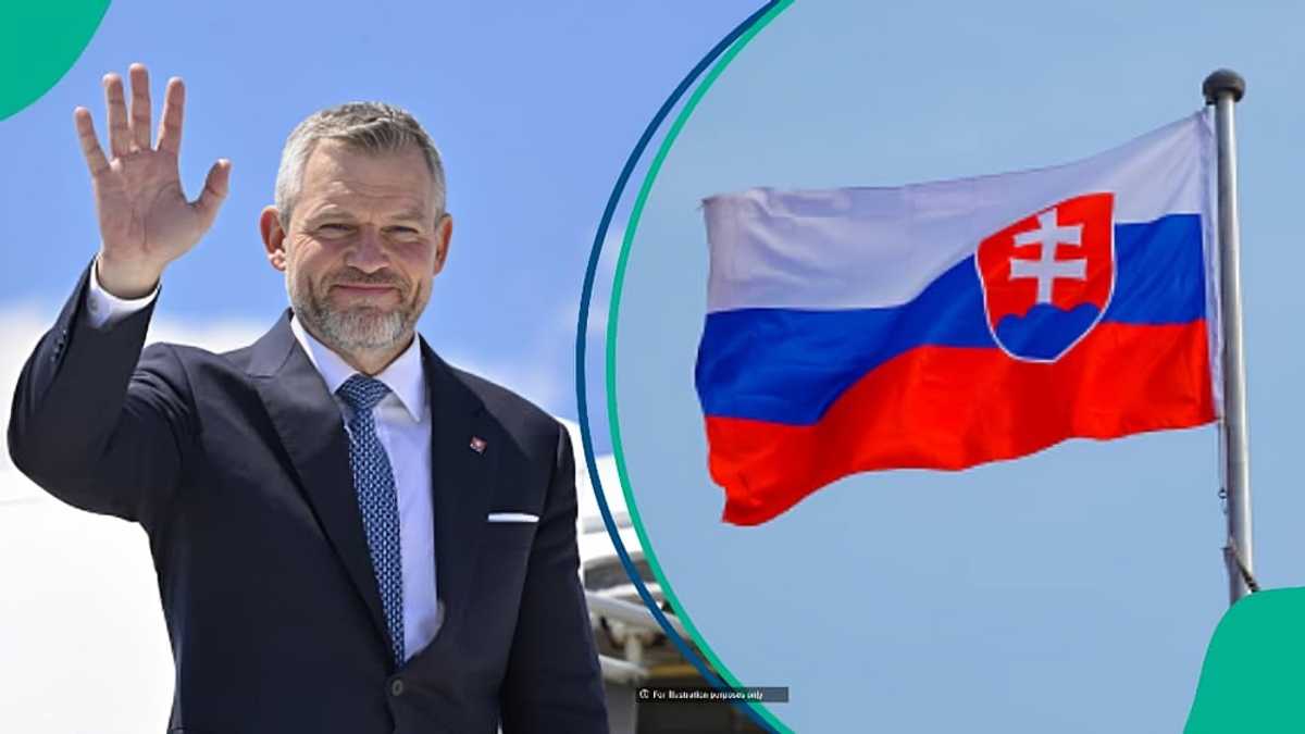 Slovakia explains who can acquire Slovak citizenship