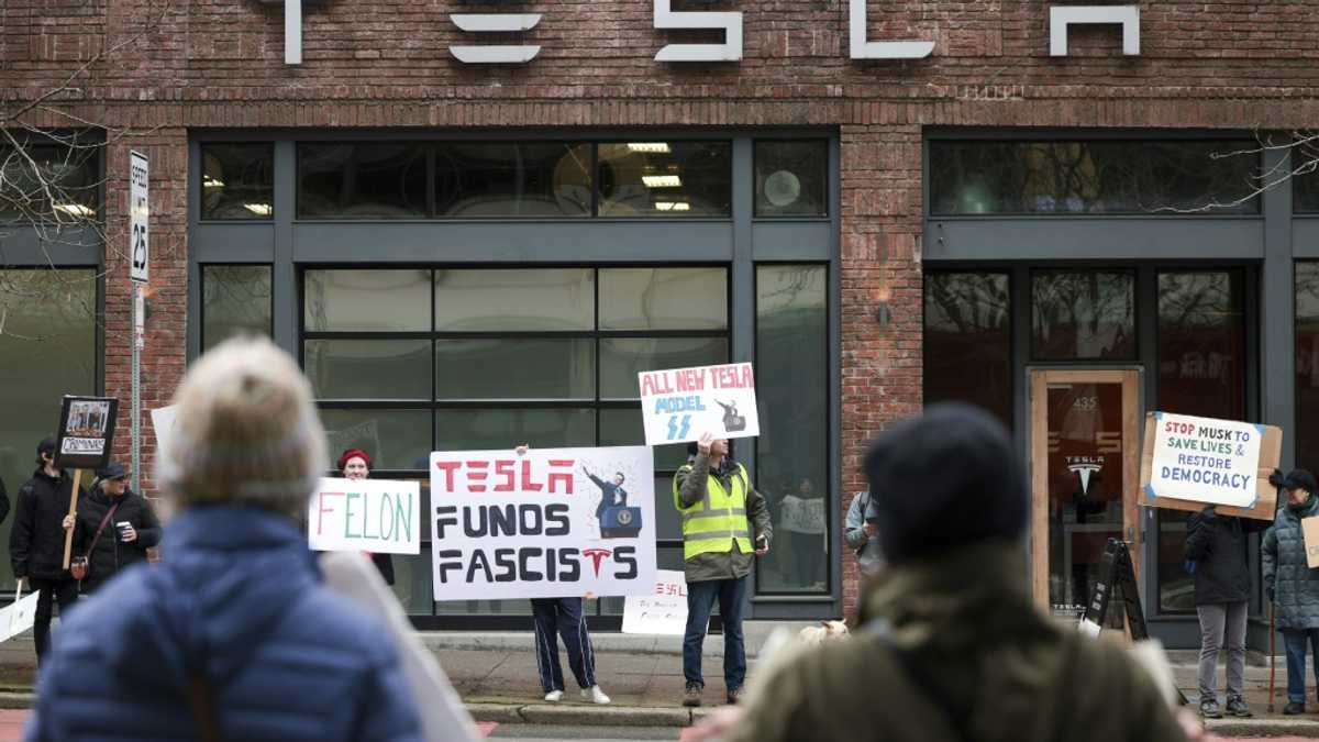 Tesla owners sour on Musk&#039;s venture into US politics