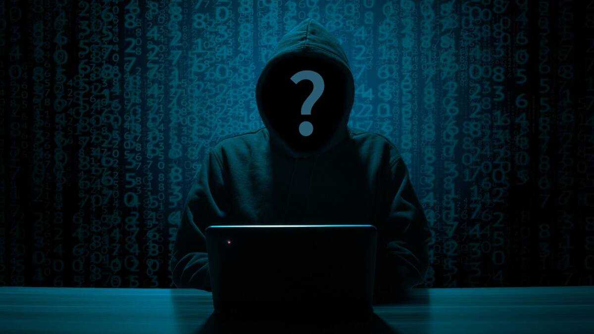 Yahoo boy format in Nigeria: All the details about fraudsters - Legit.ng
