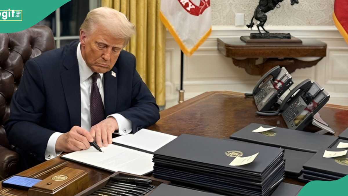 See the list of four US companies barred from sponsoring work visas from Nigerians