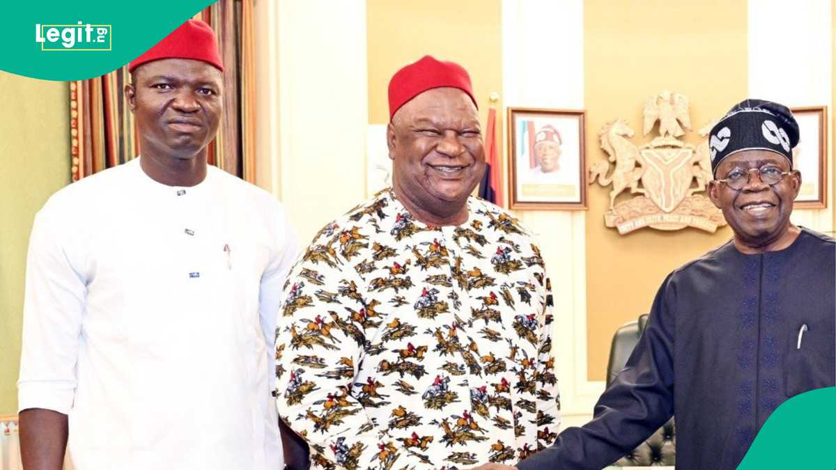 Tinubu's renewed hope: Senate presidents, ex-lawmakers gets APC govt's appointments, see full list