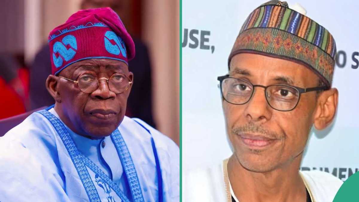 Mulki Raj Baba 'Mulki Mafi Muni,' Hakeem Baba Ahmed Ya Yi Gargadi kan Tazarcen Tinubu ...