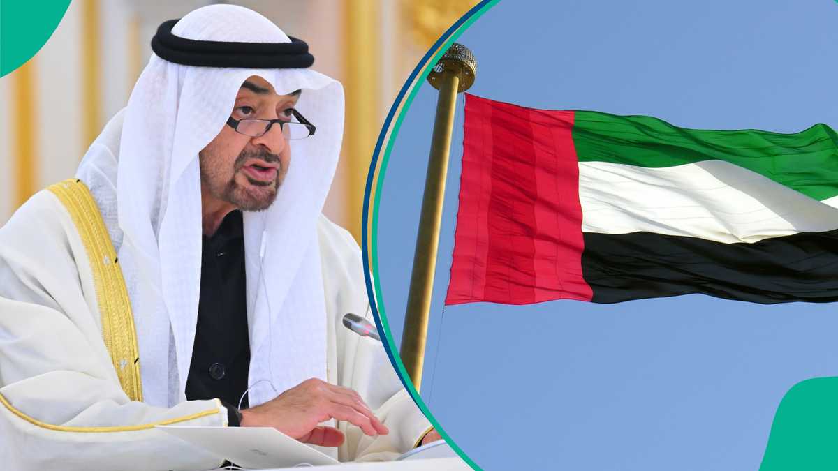 UAE Outlines Three Steps Foreigners Must Follow to Obtain Citizenship UAE Outlines Three Steps Foreigners Must Follow to Obtain Citizenship