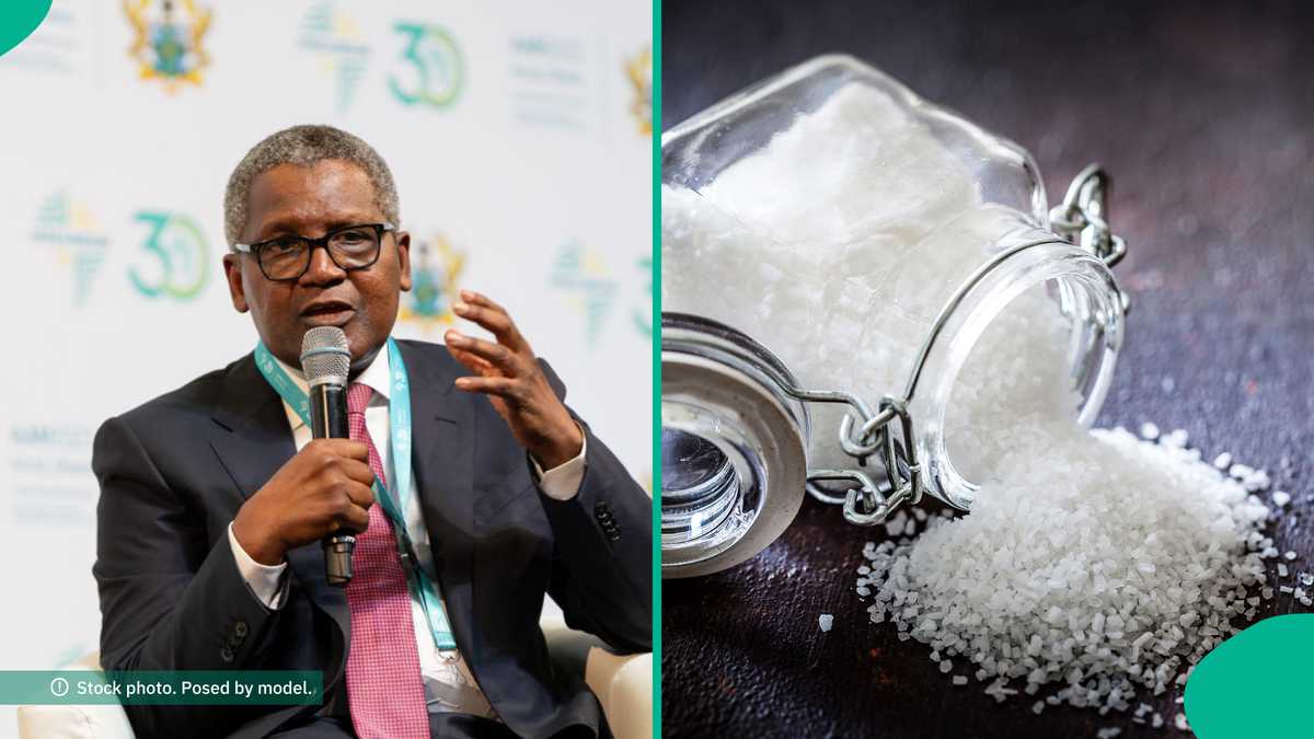 See more as Dangote Group releases 4 easy steps to become its salt distributor