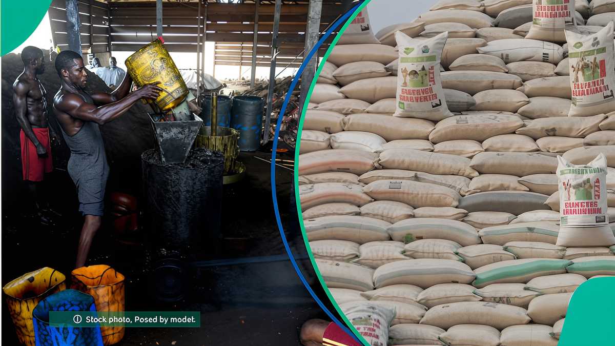 Unlocking Nigeria’s potential through China’s tariff-free African trade policy