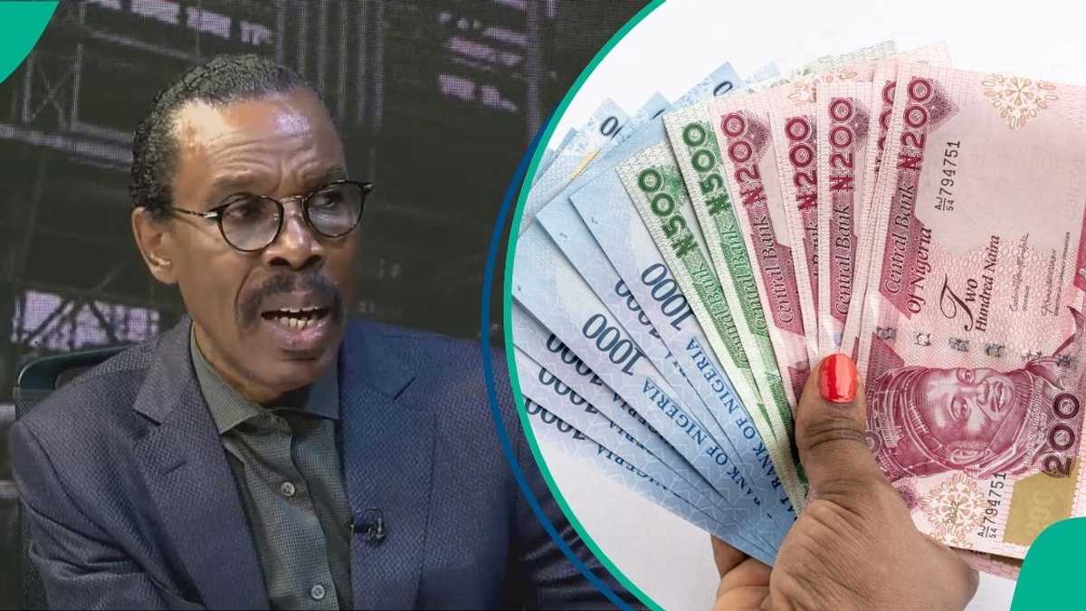 See the new exchange rates prediction for naira for September