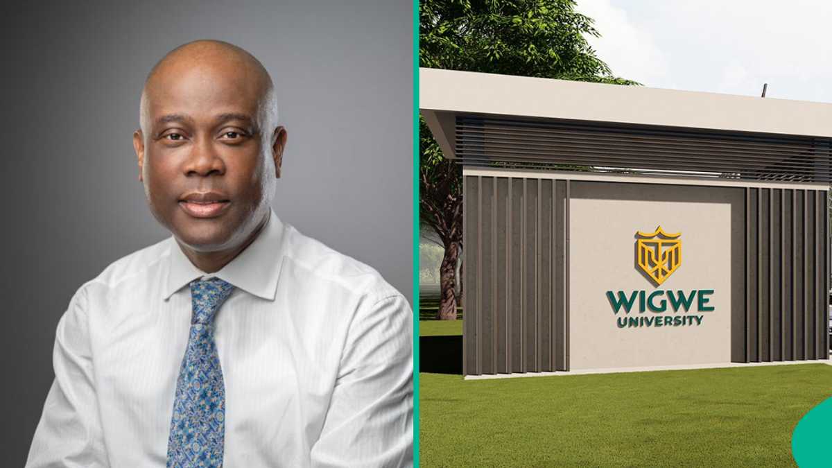 Wigwe University announces 30% scholarship, mentions condition to get offer