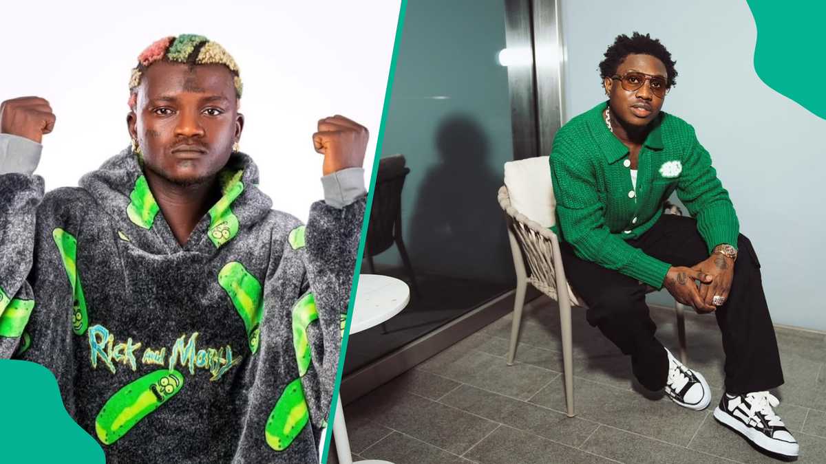 Portable launches fresh attack on Zlatan, accuses him of theft