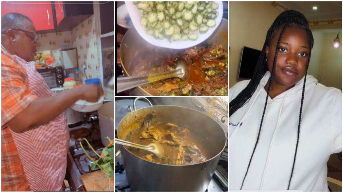 Caring Father Cooks Different Soups for Family, Makes Okro and Other ...