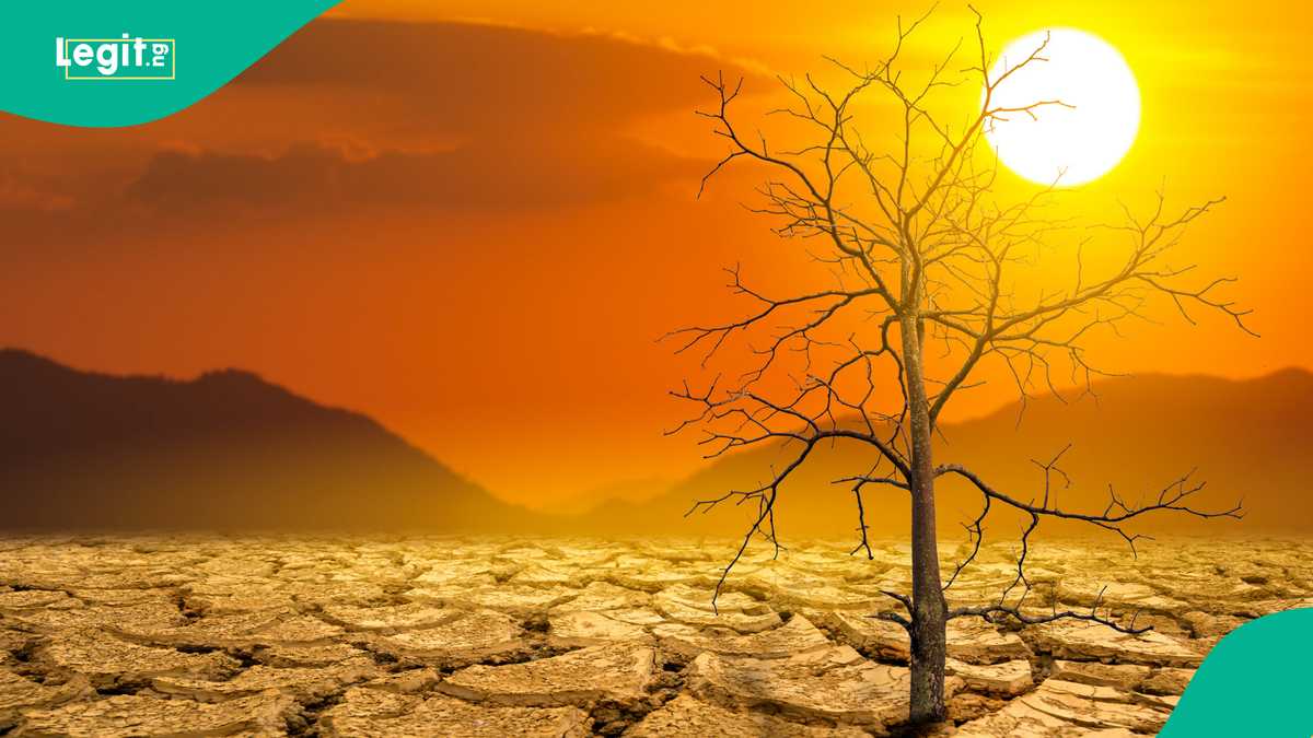 France records 5,764 excess deaths during June 2026 heat wave, worst since 2003