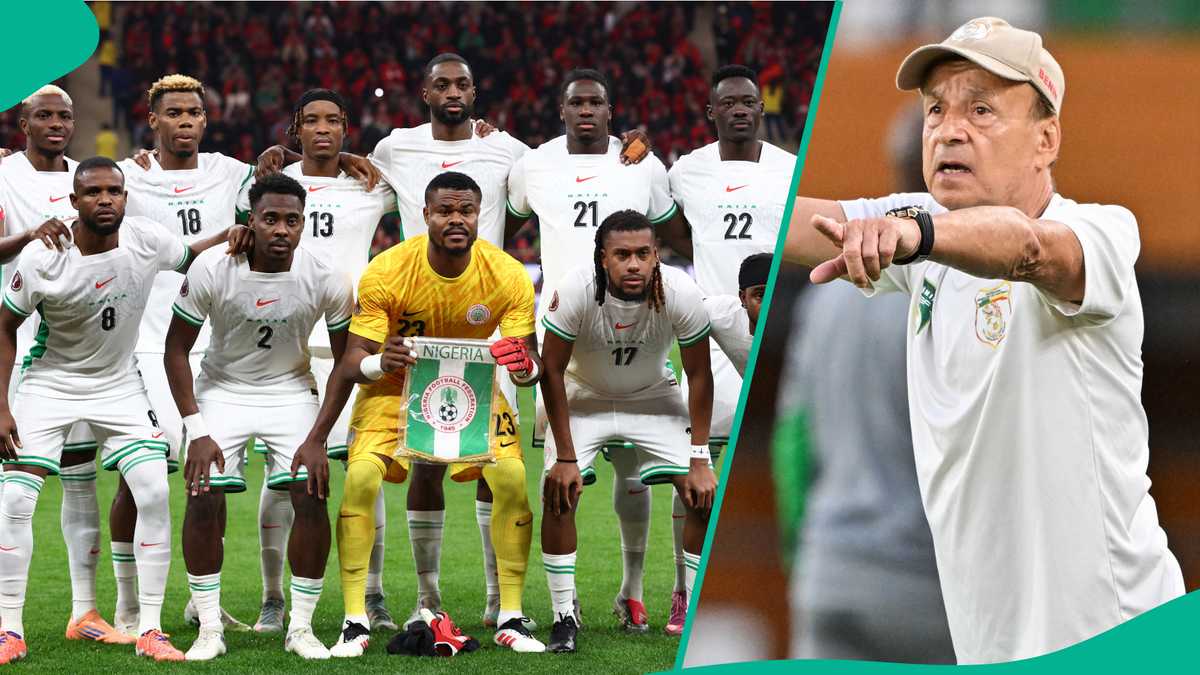 2026 FIFA World Cup: Gernot Rohr explains major reason Super Eagles failed to qualify