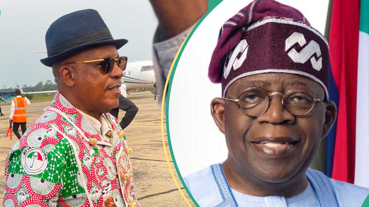 Former PDP chairman, Secondus throws Jibe at Tinubu over planned hunger protests