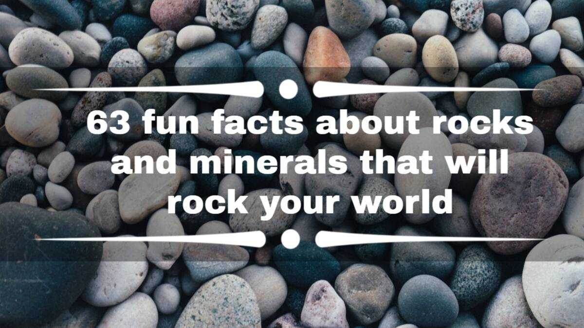 Statements About Rocks 63 fun facts about rocks and minerals that will rock your world - Legit.ng