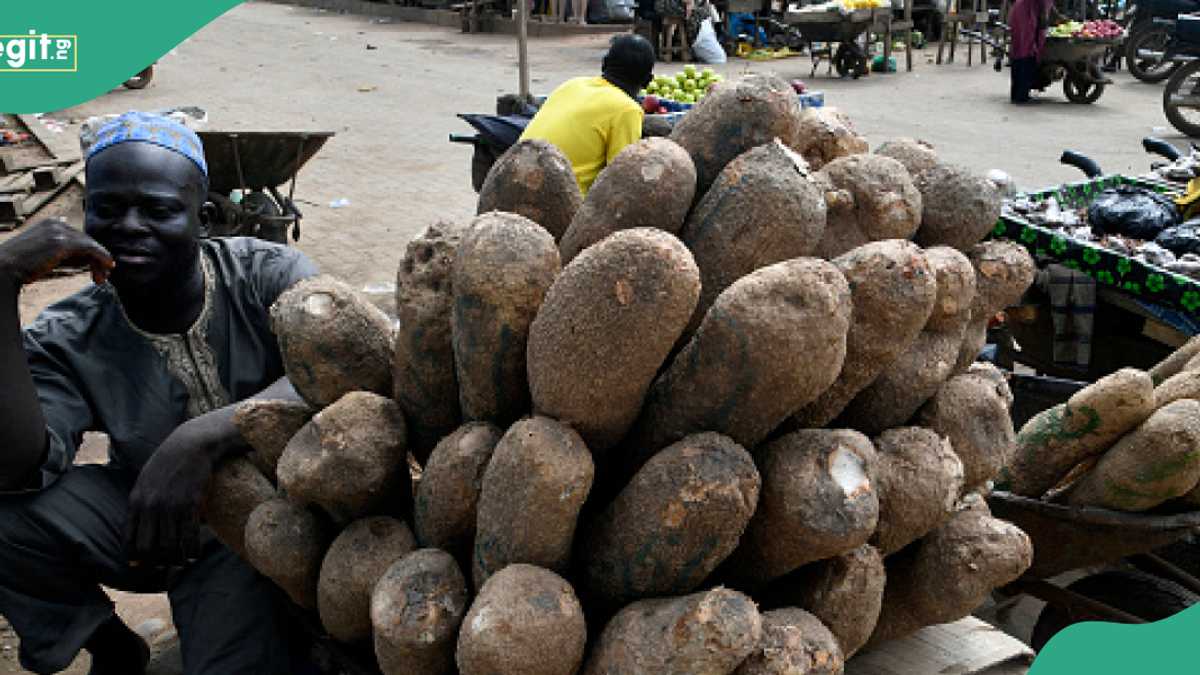 Yam tuber sells for new price in different markets, see their new tags