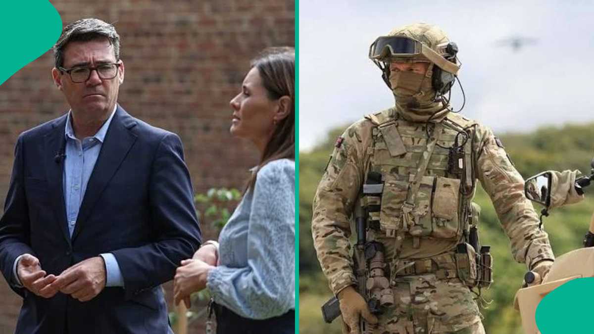 UK military branches open to non-British citizens, Parliament confirms