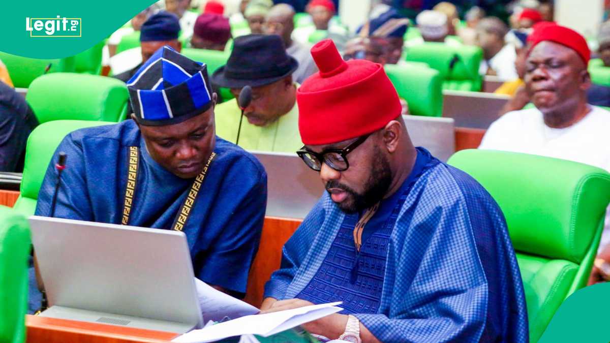 NNPCL probe: Nigerian lawmaker opens up on offering $1.7m bribe to Speaker Abbas