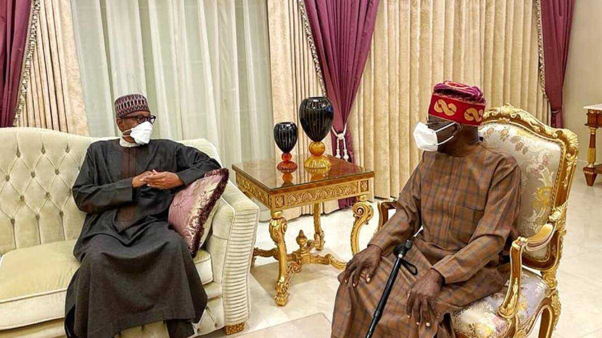 Why Buhari Visited Tinubu in London, Presidency Opens Up - Legit.ng