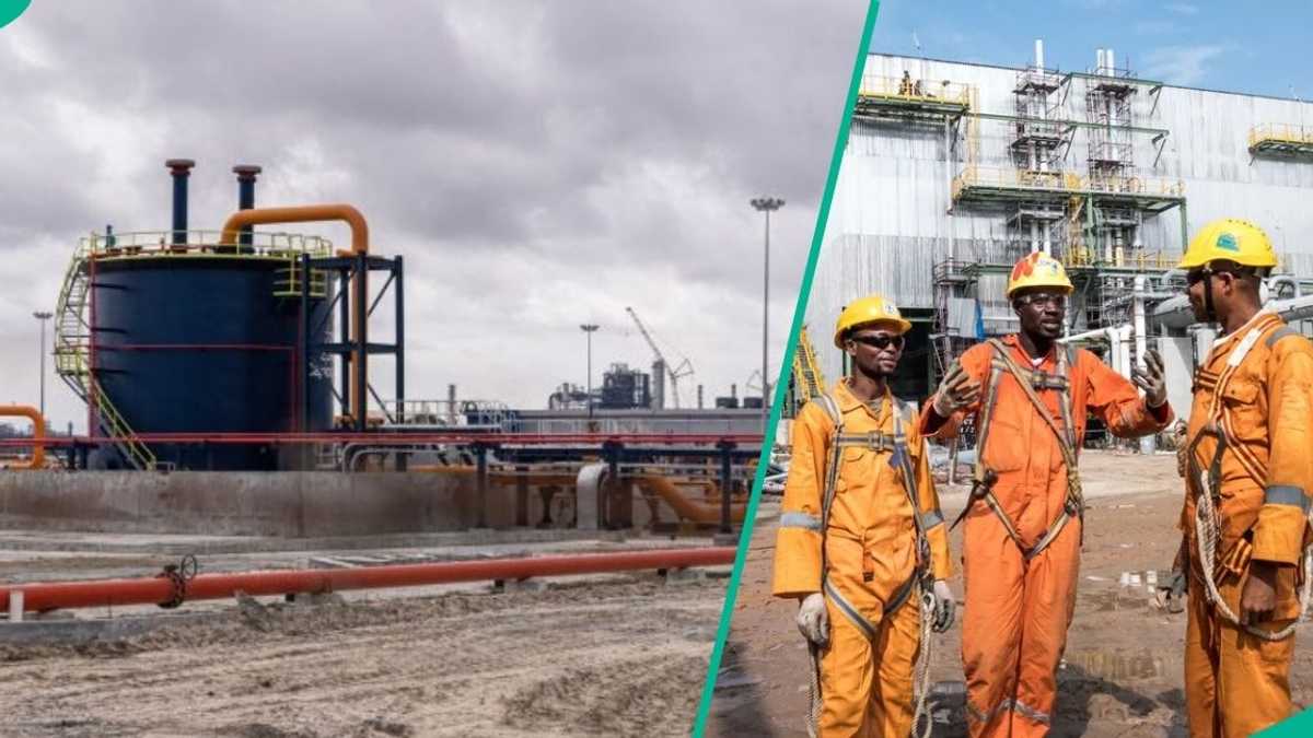 Find out more as Dangote Refinery announces job vacancies, releases requirements
