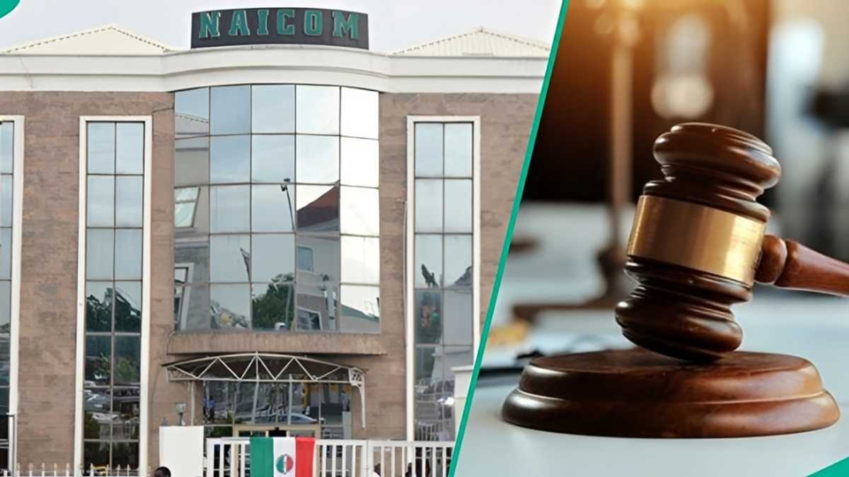 Find out more as NICON Insurance loses operating licence